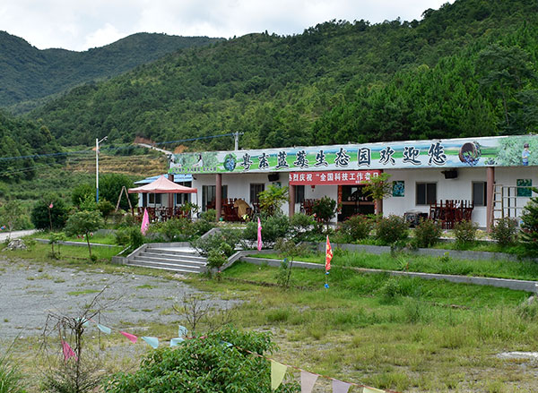 粵東藍(lán)莓基地