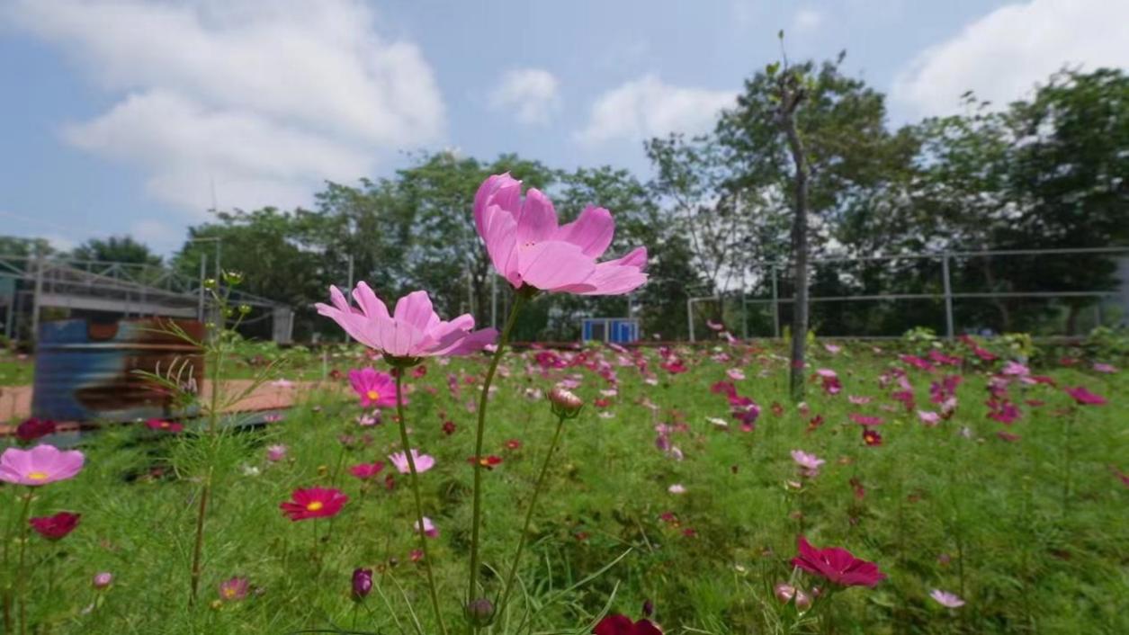 梅州市時(shí)夏農(nóng)業(yè)旅游有限公司