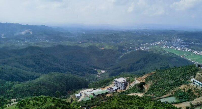 想喝地道的客家綠茶|五華縣溯源天柱山生態茶園